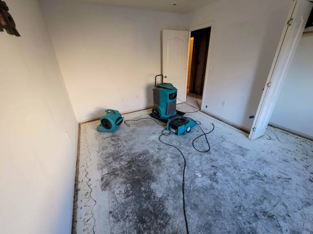 Reliable Indialantic, FL Water damage restoration Solutions