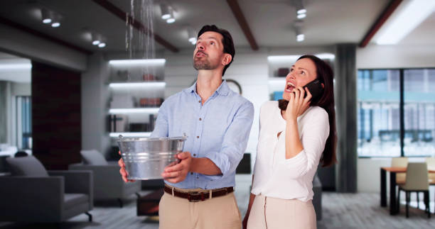 Best Mold removal after water damage  in Indialantic, FL